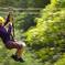 Big Island Kohala Canopy Zipline Adventure