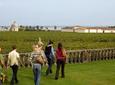 Bordeaux Vineyards Wine Tasting Half-Day Trip
