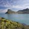 Cape Town Super Saver: Cape Point Highlights Tour plus Wine Tasting in Stellenbosch