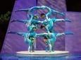 China Acrobatics Show and Shanghai Evening Tour