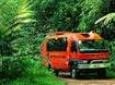Daintree and Cape Tribulation Tour from Cairns