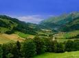 Day Trip to Gruyères including Golden Panoramic Express Train