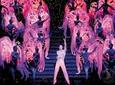 Paris Moulin Rouge Dinner Show with Transport