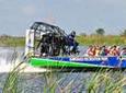 Florida Everglades Airboat Adventure and Wildlife Encounter