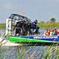 Florida Everglades Airboat Adventure and Wildlife Encounter