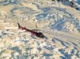 Franz Josef Mountain Scenic Helicopter Flight