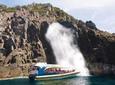 Full-Day Bruny Island Cruises Day Tour from Hobart