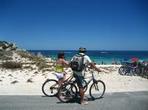 Experience Rottnest with Ferry & Bike Hire from Perth or Fremantle