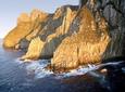 Tasman Island Cruises Day Tour from Hobart