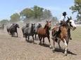 Gaucho Day Trip from Buenos Aires: Don Silvano Ranch