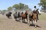 Gaucho Day Trip from Buenos Aires: Don Silvano Ranch