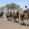 Gaucho Day Trip from Buenos Aires: Don Silvano Ranch