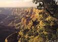 Grand Canyon South Rim Bus Tour with Optional Upgrades
