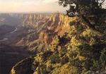 Grand Canyon South Rim Bus Tour with Optional Upgrades