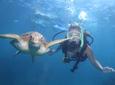 Great Barrier Reef Snorkeling and Diving Cruise from Cairns