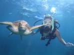 Great Barrier Reef Snorkeling and Diving Cruise from Cairns
