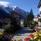 Independent Chamonix and Mont Blanc Tour from Geneva
