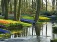 Keukenhof Gardens Half Day Guided Tour from Amsterdam with Free 1-Hour Cruise