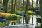 Keukenhof Gardens Half Day Guided Tour from Amsterdam with Free 1-Hour Cruise