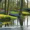 Keukenhof Gardens Half Day Guided Tour from Amsterdam with Free 1-Hour Cruise