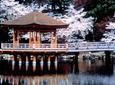 Kyoto and Nara 1 Day Trip - Golden Pavilion and Todai-ji Temple from Osaka