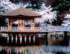 Kyoto and Nara 1 Day Trip - Golden Pavilion and Todai-ji Temple from Osaka