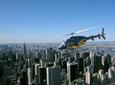 Manhattan Sky Tour: New York Helicopter Flight