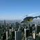 Manhattan Sky Tour: New York Helicopter Flight