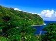 Maui Day Trip: Hana Adventure from Oahu