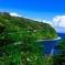 Maui Day Trip: Hana Adventure from Oahu