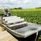 Florida Everglades Airboat Adventure plus Miami Biscayne Bay Cruise