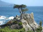 Monterey, Carmel and 17-Mile Drive - Full Day Tour from San Francisco