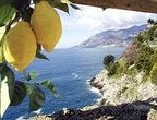 Naples Shore Excursion: Private Tour to Sorrento, Positano, and Amalfi