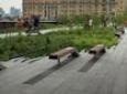 New York High Line Park Walking Tour