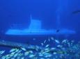 Waikiki Atlantis Submarine Adventure