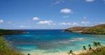 Oahu Grand Circle Island Day Tour