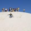 Pinnacles Desert, Koalas and Sandboarding 4WD Day Tour from Perth