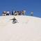 Pinnacles Desert, Koalas and Sandboarding 4WD Day Tour from Perth