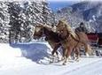 Private Horse-Drawn Sleigh Ride from Salzburg