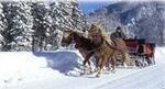 Private Horse-Drawn Sleigh Ride from Salzburg