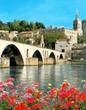 Provence in One Day Small Group Day Trip from Avignon