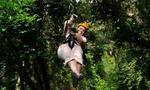Roatan Shore Excursion: Zip 'n' Dip Canopy Tour