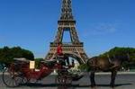 Paris Private Romantic Horse & Carriage Ride