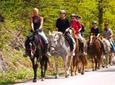 Scenic Horseback-Riding Tour from San Juan