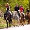 Scenic Horseback-Riding Tour from San Juan