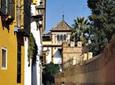 Seville Full Day Trip from Costa del Sol