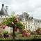 Loire Valley Chambord & Chenonceau Castles Day Trip with Wine Tasting from Paris