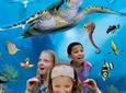 SEA LIFE London Aquarium Admission Ticket