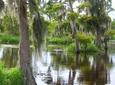 Small-Group Half-Day Airboat Swamp Adventure & Plantation Tour from New Orleans