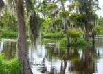 Small-Group Half-Day Airboat Swamp Adventure & Plantation Tour from New Orleans
